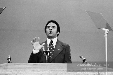 D_C_20-26 001 Democratic Convention. New York City, 1976.photo:Bob Adelman©Bob Adelman Estate