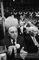 D_C_39-12 001 Democratic Convention. New York City, 1976.photo:Bob Adelman©Bob Adelman Estate