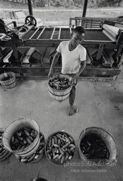 Southwest Alabama Farmers' Cooperative Association. Camden, 1970. photo:©Bob Adelman, from the book DOWN HOME by Bob Adelman and Susan Hall.