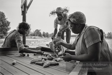 Southwest Alabama Farmers' Cooperative Association. Camden, 1970. photo:©Bob Adelman, from the book DOWN HOME by Bob Adelman and Susan Hall.