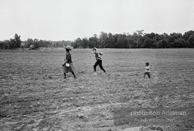 Going home after working in the fields. Camden, 1966. photo:©Bob Adelman, from the book DOWN HOME by Bob Adelman and Susan Hall.