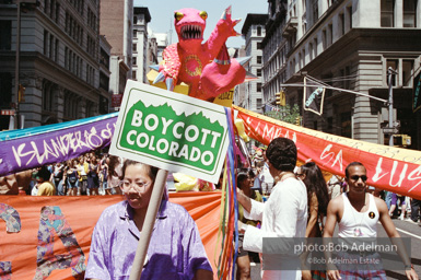 Gay Pride March. New York City, 1994