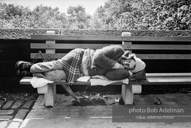 Photographs from Photographs from