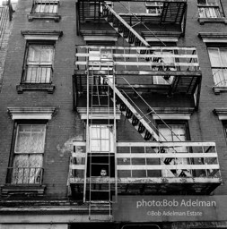 Photographs from Photographs from