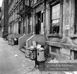 Photographs from Photographs from