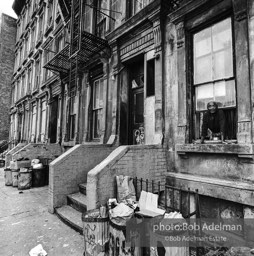 Photographs from Photographs from