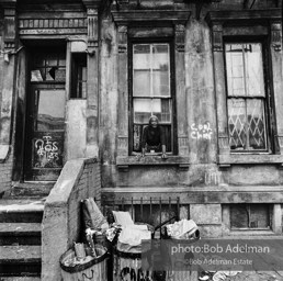 Photographs from Photographs from