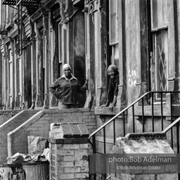 Photographs from Photographs from