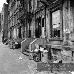 Photographs from Photographs from