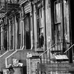 Photographs from Photographs from