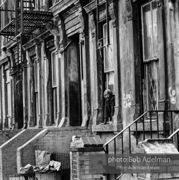 Photographs from Photographs from
