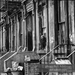 Photographs from Photographs from