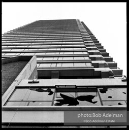 Photographs from Photographs from