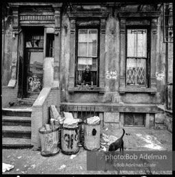 Photographs from Photographs from