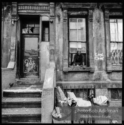Photographs from Photographs from