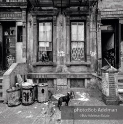 Photographs from Photographs from