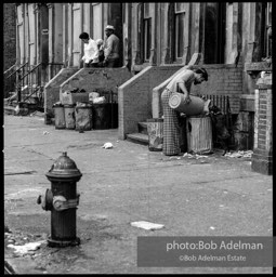 Photographs from Photographs from