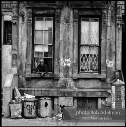Photographs from Photographs from