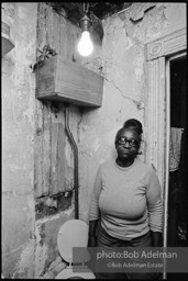 Photographs from Photographs from