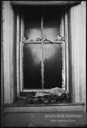 Photographs from Photographs from