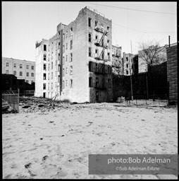 Photographs from Photographs from