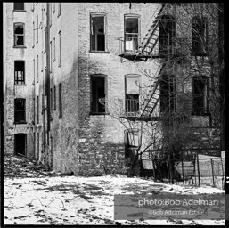 Photographs from Photographs from