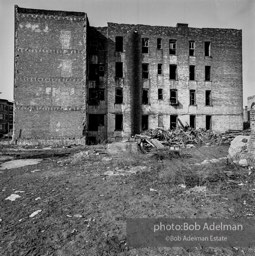 Photographs from Photographs from