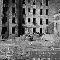Photographs from Photographs from