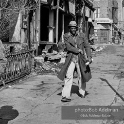 Photographs from Photographs from