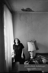 Photographs from Photographs from