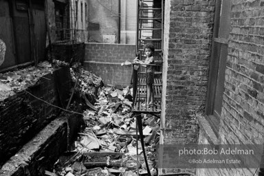 Photographs from Photographs from