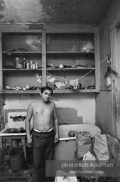 Photographs from Photographs from