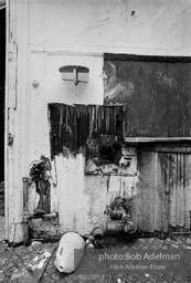 Photographs from Photographs from