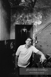 Photographs from Photographs from