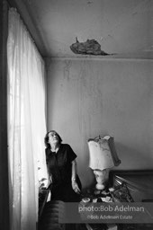 Photographs from Photographs from