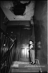 Photographs from Photographs from
