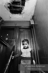 Photographs from Photographs from