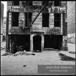 Photographs from Photographs from