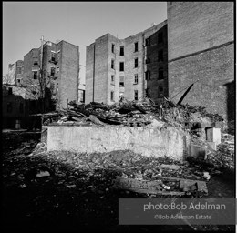 Photographs from Photographs from