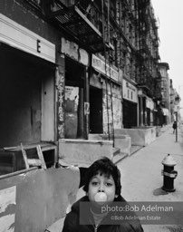 Photographs from Photographs from