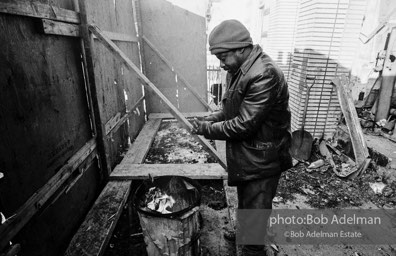 Photographs from Photographs from