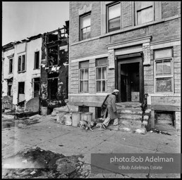 Photographs from Photographs from