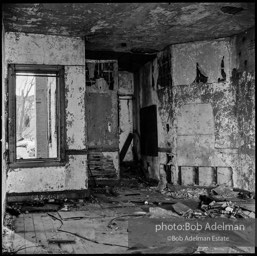 Photographs from Photographs from