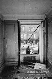 Photographs from Photographs from