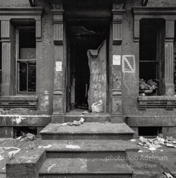 Photographs from Photographs from
