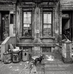 Photographs from Photographs from