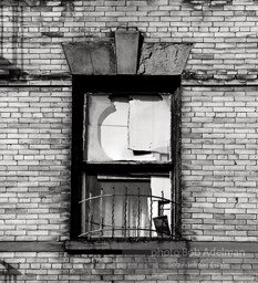 Photographs from Photographs from