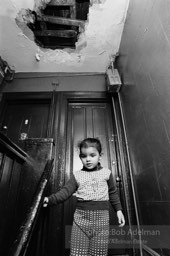 Photographs from Photographs from