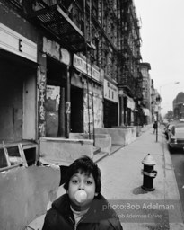 Photographs from Photographs from