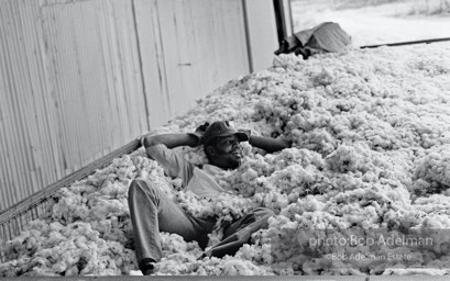 In high cotton,  Tchula,  Mississippi  1981-